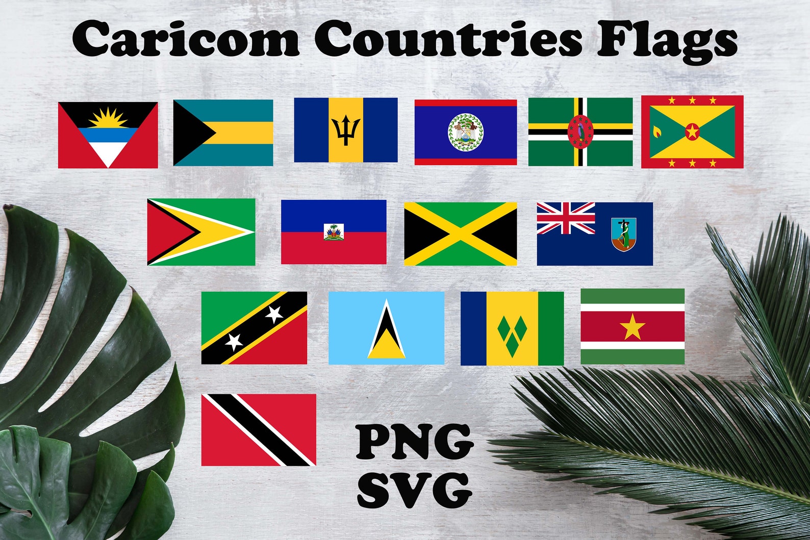 28 Countries FlagsCaribbean Community Full Members Etsy