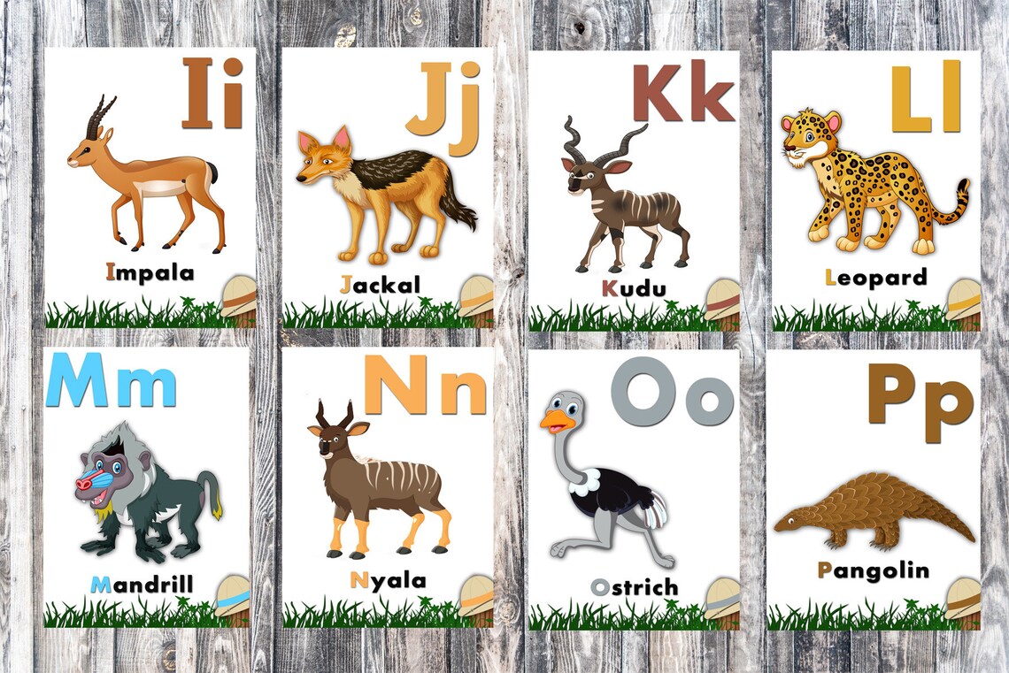 Animal Alphabet Flashcards-jungle Wild Zoo Animals Kids | Etsy