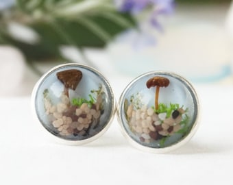 May include: A pair of silver stud earrings with a mushroom and moss design encased in clear resin.