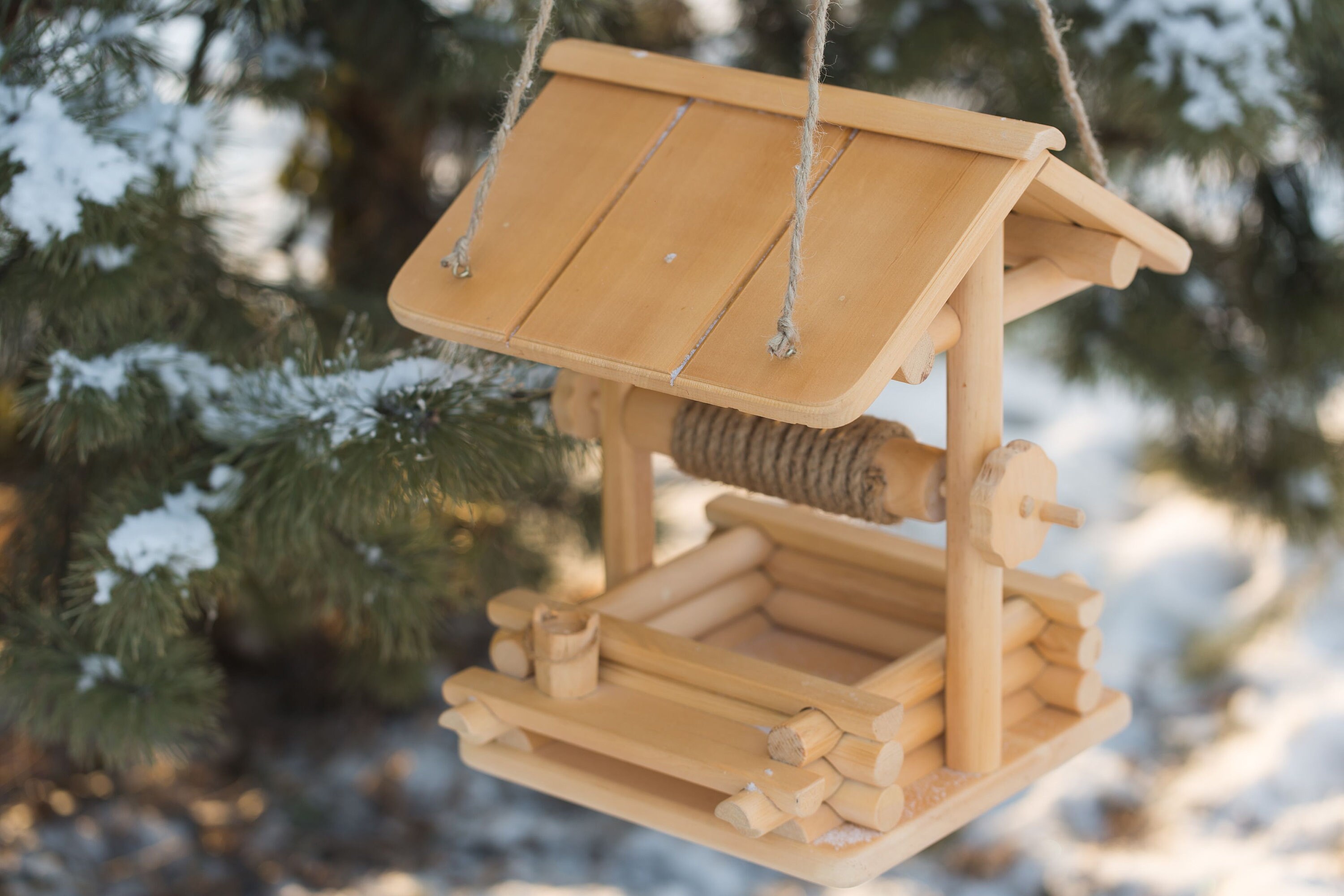 Twirl Squirrel Feeder, Squirrel House, Squirrel Home, Flying Squirrel