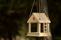 Wooden Hanging Bird Feeder, Personalized Bird Feeder, Bird Feeder, Handmade Squirrel Feeder, Garden Decore, Funny Bird Feeder product logo