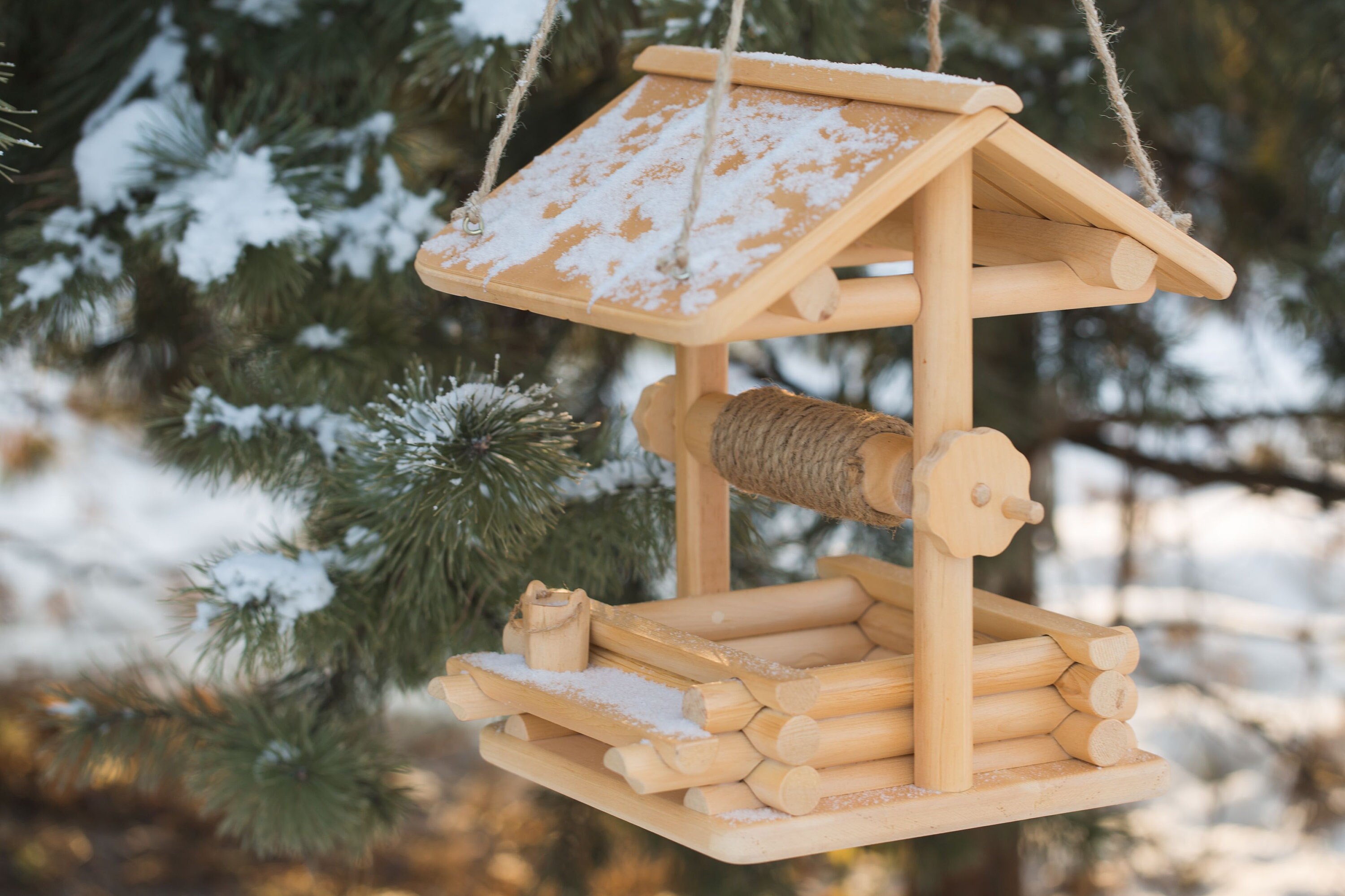 Twirl Squirrel Feeder, Squirrel House, Squirrel Home, Flying Squirrel