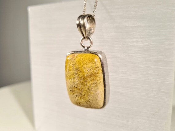 Natural Rectangle Coral Fossil in Agate Crystal S… - image 3