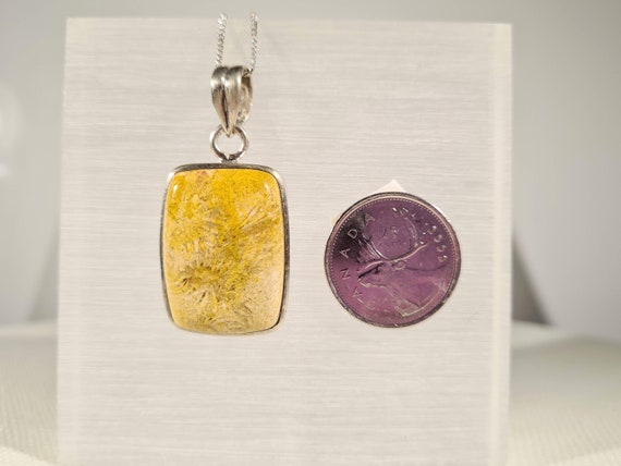Coral Fossil Agate Pendant: Sterling Silver Neckl… - image 9