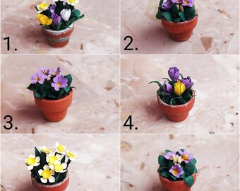 Miniatur Topfblume 4,5 cm Mini Topf Topfpflanze Miniarten Blume im Blumentopf