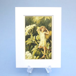 Impression vintage de fées de fleurs de sureau de fées des fleurs, illustration contrecollée de 6 x 20 cm. Cadeau idéal prêt à encadrer pour une chambre de bébé ou d'enfant.