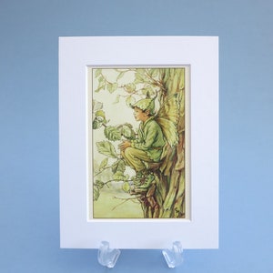 Impression vintage de fées des fleurs de la fée des ormes, illustration montée de 6 x 8 pouces. Cadeau idéal prêt à encadrer pour une chambre de bébé ou d'enfant.