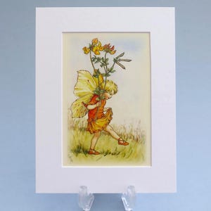 Impression vintage de fées des fleurs de la fée du trèfle pied d'oiseau, illustration montée de 6 x 20 cm. Cadeau idéal prêt à encadrer.