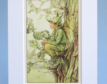 Elm Fairy print, vintage Cicely Mary Barker Flower Fairy illustration, botanical art, cottage garden wall art, mounted and ready to frame