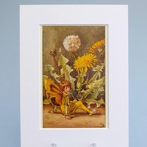 Impression vintage des fées des fleurs la fée du pissenlit, illustration contrecollée de 6 x 20 cm. Cadeau idéal prêt à encadrer pour une chambre de bébé ou d'enfant.