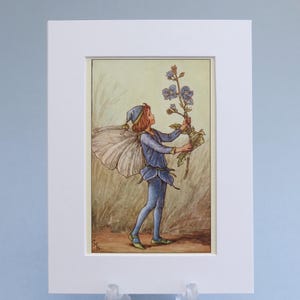 Impression vintage de fées des fleurs Speedwell Fairy, illustration contrecollée de 6 x 20 cm. Cadeau idéal prêt à encadrer pour une chambre de bébé ou d'enfant.