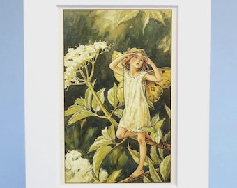 Elder Flower Fairy print, vintage Cicely Mary Barker print, cottage garden wall art, botanical art, 6x8 inch mounted and ready to frame