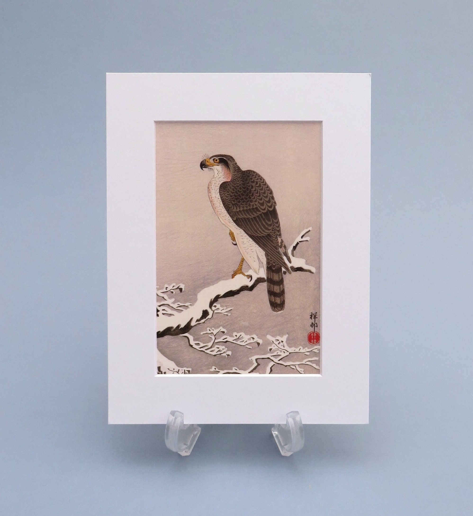Hawk on a Snowy Pine Branch print, in a new bright white mount, 8x6 inch mounted Ukiyo-e print of Japanese Ohara Shoson woodblock art
