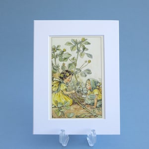 Impression vintage des fées des fleurs de la fée médecin noire, illustration contrecollée de 6 x 20 cm. Cadeau idéal prêt à encadrer pour une chambre de bébé ou d'enfant.