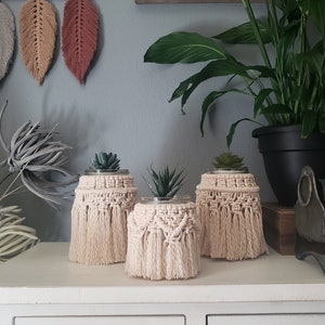 May include: Three small potted plants with green succulents are displayed on a white shelf. Each plant is in a clear glass jar with a cream-colored crocheted cover with fringe.