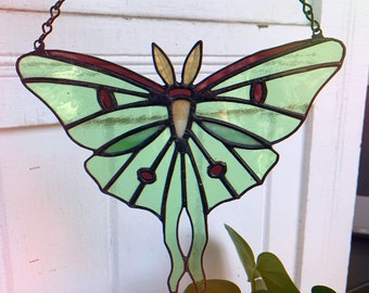 Large Luna Moth