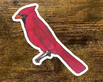 Adesivo Cardinale Settentrionale: Decalcomania Artistica con Uccello Acquerello