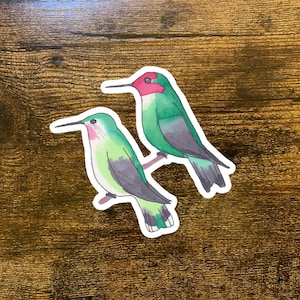 Anna&#39;s Hummingbird Decal - Watercolor Bird Art - Bird Sticker - Bird Laptop Decal - Hummer Sticker