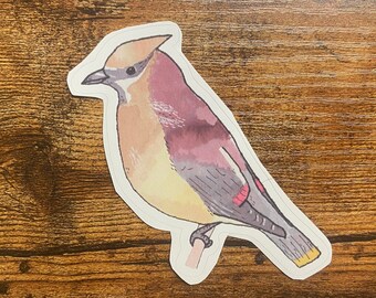 Cedar Waxwing Decal - Watercolor Bird Art - Bird Sticker