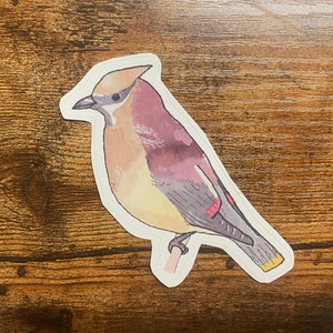 Cedar Waxwing Decal - Watercolor Bird Art - Bird Sticker