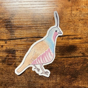 Mountain Quail Decal - Watercolor Bird Art - Bird Sticker