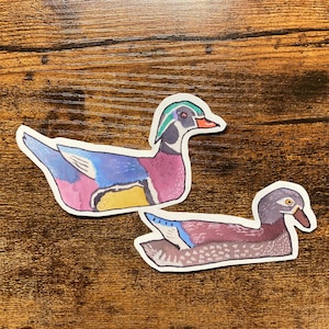 Wood Duck Decal - Watercolor Bird Art - Bird Sticker