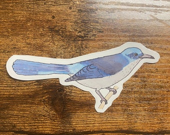 Kalifornien Peeling Jay Aufkleber - Aquarell Vogel Kunst - Vogel-Aufkleber