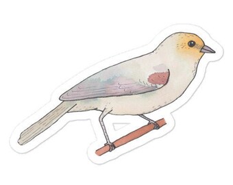 Verdin  bird decal - Watercolor Bird Art - Bird Sticker - Cute Animal Decal
