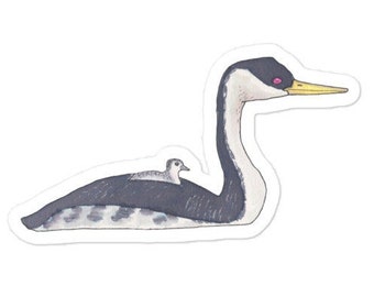 Western Grebe Bird Sticker - Watercolor Art Decal