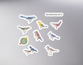 Bird Sticker Sheet #2 - Wildlife Stickers - Bird Stickers - North American Birds
