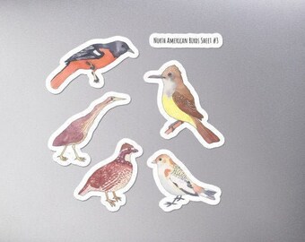 North American Bird Sticker Sheet: Wildlife Decals