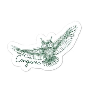 Congaree Owl Decal - South Carolina Sticker - Park Decal