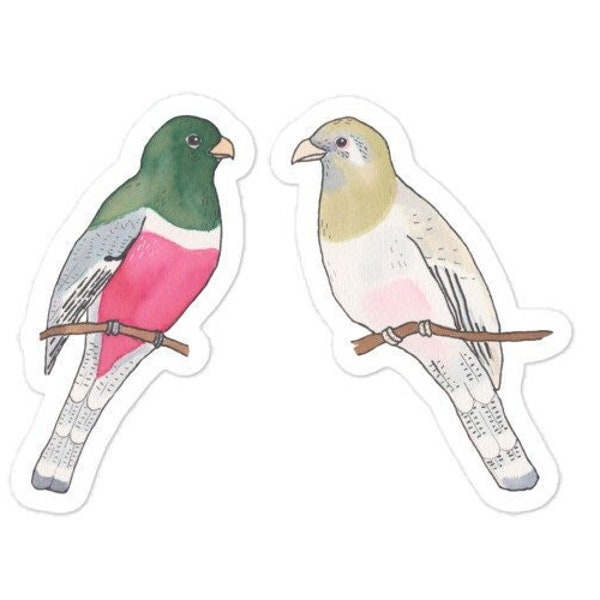 Elegant Trogon  Decal - Watercolor Bird Art - Bird Sticker - Bird Laptop Decal - bird species art