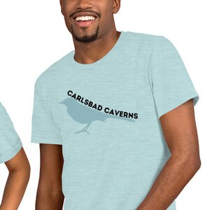 May include: Two people wearing light blue t-shirts with a stylized bird graphic and the text "Carlsbad Caverns".