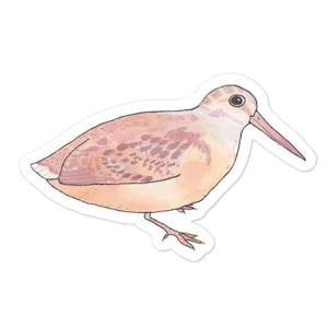 American Woodcock bird Decal - Watercolor Bird Art - Bird Sticker - Cute Animal Decal