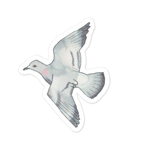 Rock Pigeon bird decal - Watercolor Bird Art - Bird Sticker - Cute Animal Decal