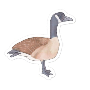 Canada Goose bird decal - Watercolor Bird Art - Bird Sticker - Cute Animal Decal