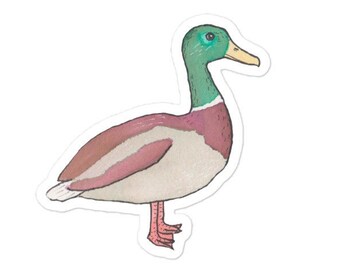 Mallard  - bird species decal - birding sticker - wildlife animal art