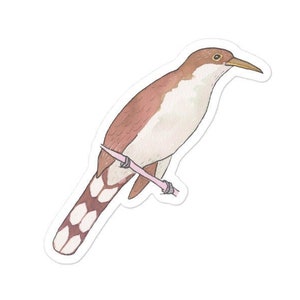 Yellow-billed Cuckoo  bird decal - Watercolor Bird Art - Bird Sticker - Cute Animal Decal
