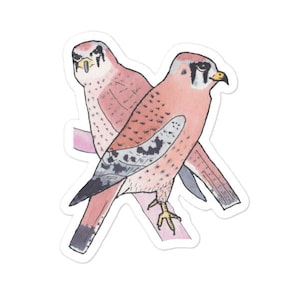American Kestrel bird decal - Watercolor Bird Art - Bird Sticker - Cute Wildlife Decal