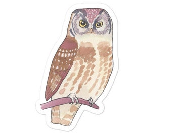 Boreal Owl  - Watercolor Bird Art - Bird Sticker - wildlife decal