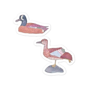 Blue-winged Teal decal  - Watercolor Bird Art - Bird Sticker - wildlife decal