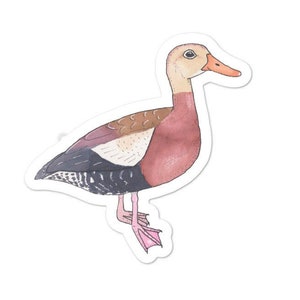 Black Bellied Whistling Duck Decal - Watercolor Bird Art - Bird Sticker - Bird Laptop Decal - Duck Sticker