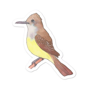 Great Crested Flycatcher Decal - Watercolor Bird Art - Bird Sticker - Cute Animal Decal