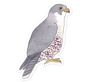 Peregrine Falcon Sticker: Watercolor Bird Art Decal