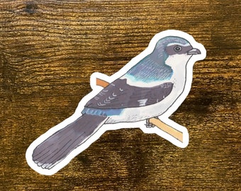 Loggerhead Shrike Decal - Watercolor Bird Art - Bird Sticker - Cute Animal Decal