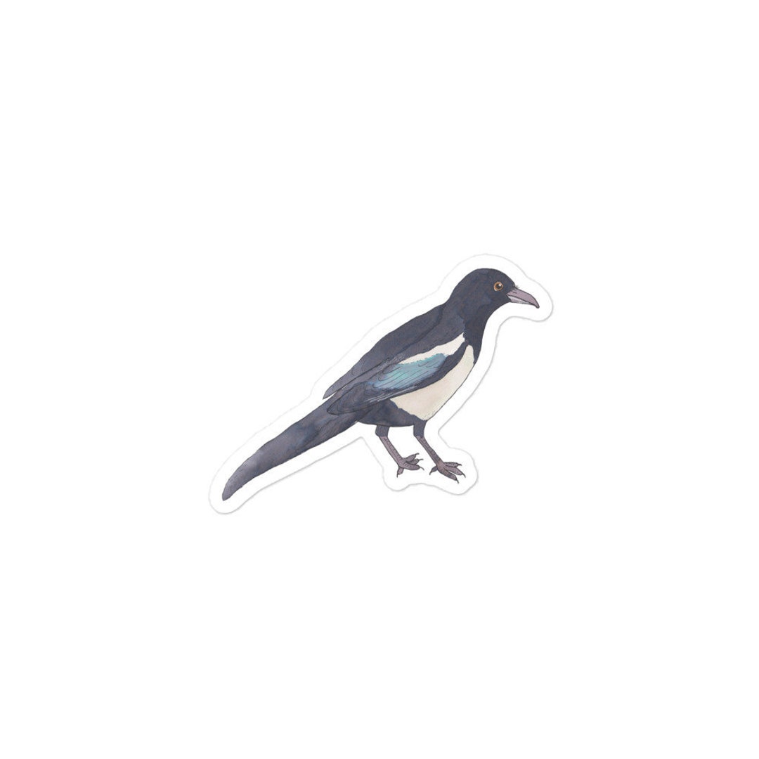 Black-billed Magpie Sticker: Watercolor Bird Art Decal - Etsy