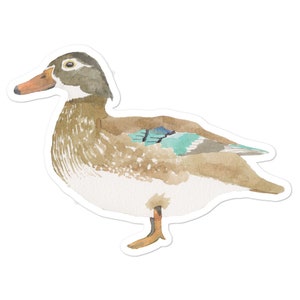 Wood Duck Decal - Watercolor Bird Art - Bird Sticker - Bird Laptop Decal