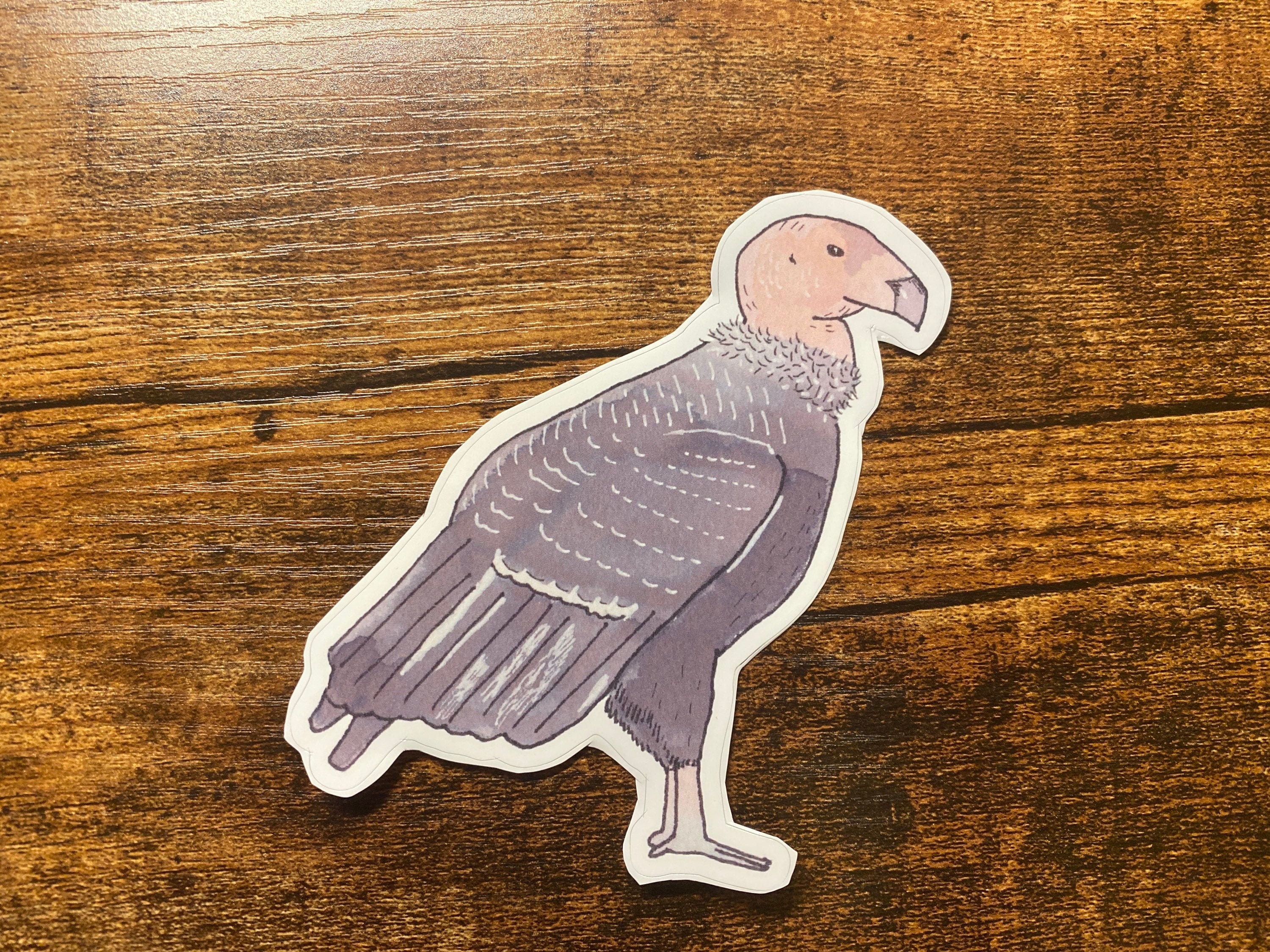California Condor Decal - Watercolor Bird Art - Bird Sticker - Etsy