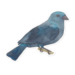Blue Bunting - watercolor bird species art - decal sticker